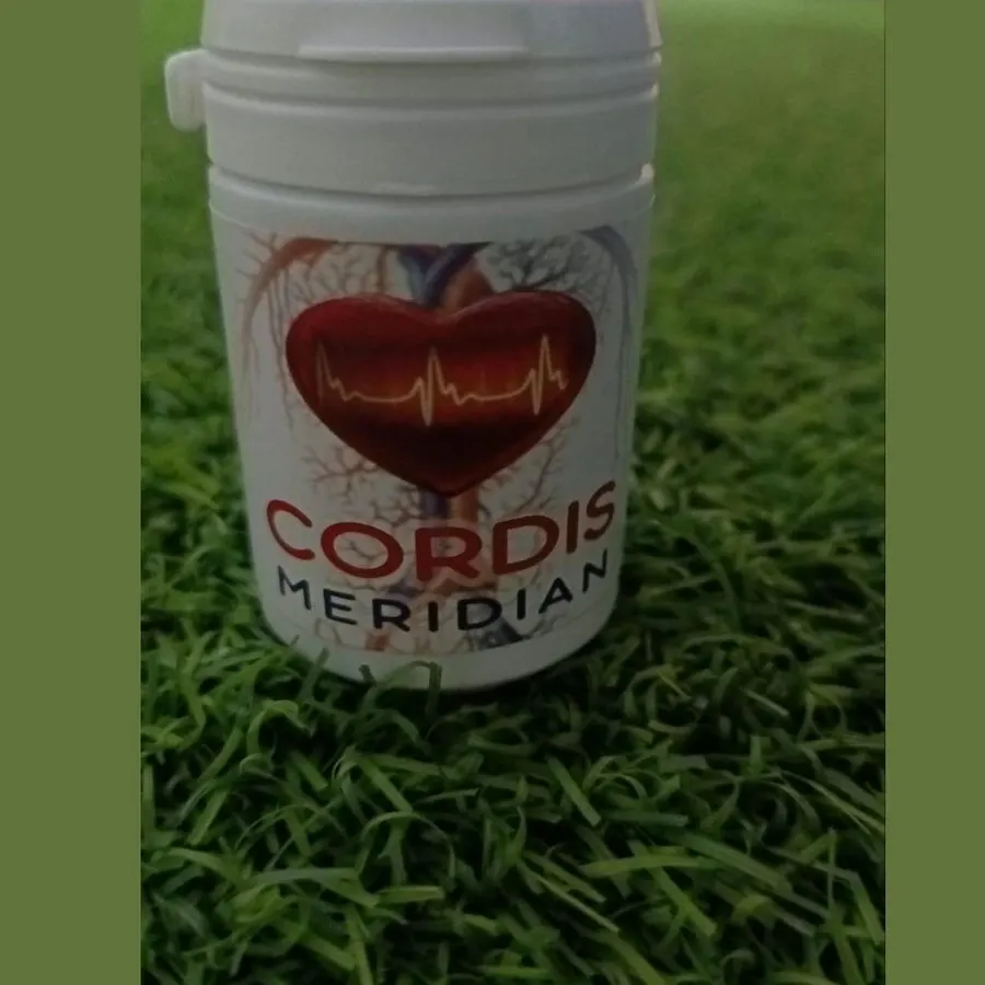 Cordis Meridian — صورة