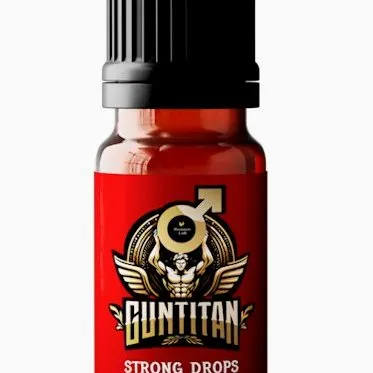 GunTitan — снимка 1