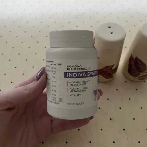 Indiva System — Zdjęcie 3