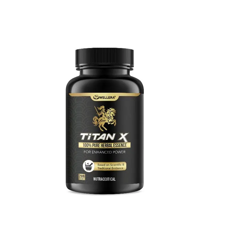 Titan X — gambar 1