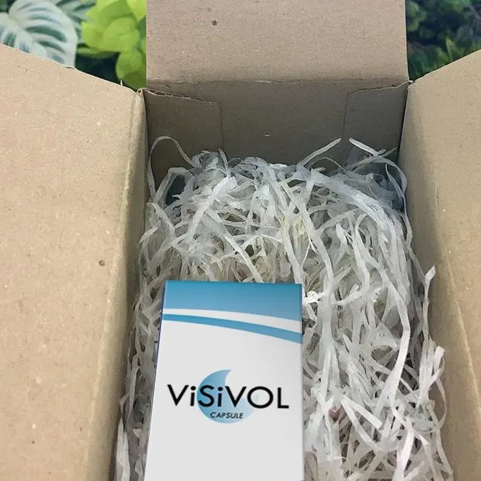 Visivol — gambar 2
